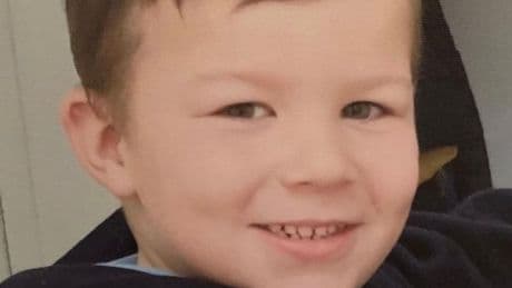 XL Bully owner stabbed dog as it attacked gran and left boy, 8, covered in blood