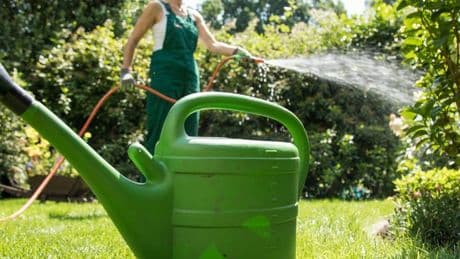 Trockenheit im heimischen Garten: Auf Wiedersehen, Gießkanne – Das leisten moderne Bewässerungssysteme