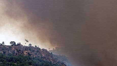 El fuego se ha apagado, pero no la tristeza de ver tu pueblo arrasado: "He corrido entre esos árboles de pequeña"