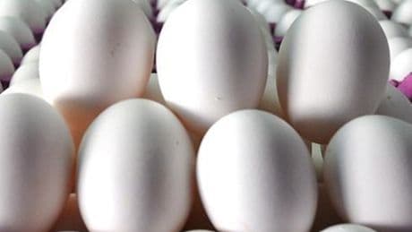 Sofralık yumurta ihracatında muafiyet Resmi Gazete'de