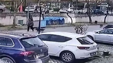 Ankara'da sadece iki tane vardı: Birini böyle çaldı! 420 bin TL değerinde, Türkiye'de nadir bulunuyor