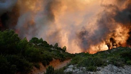 „Größtes Feuer seit 1949“ – Dramatische Bilanz bei Flächenbrand in Frankreich