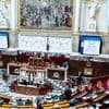 Proposition de loi agricole Duplomb : les partisans du texte vont déposer une motion de rejet pour contourner le "mur" d'amendements