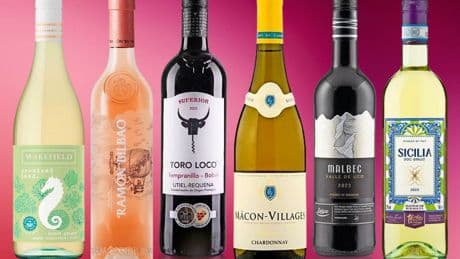 I tested best supermarket wines to pair with BBQ food for under £10 – winner is perfect with 3 dishes