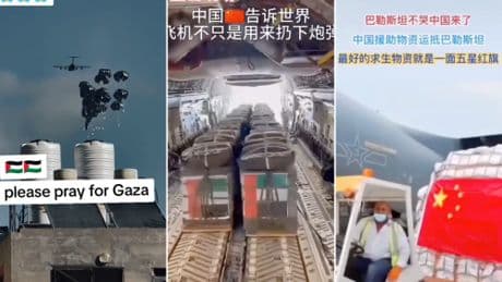 "La Cina salva Gaza". la verità dietro i video virali che inondano TikTok