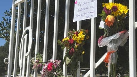 Murder of former Auburn professor at city park shakes community