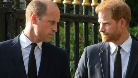 'I knew Prince William, Kate and Harry - we have to accept brutal truth about rift'