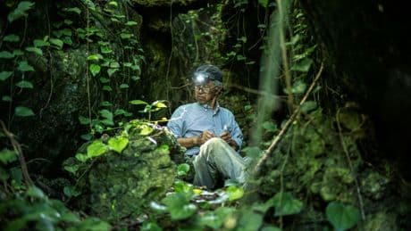 Okinawa : La mémoire des morts de la Seconde Guerre mondiale en danger face à la construction d'une nouvelle base militaire