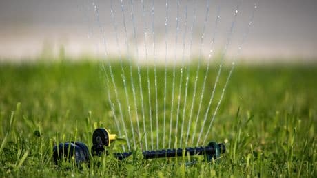 ‘Full lawn watering ban’ in place for Ontario village