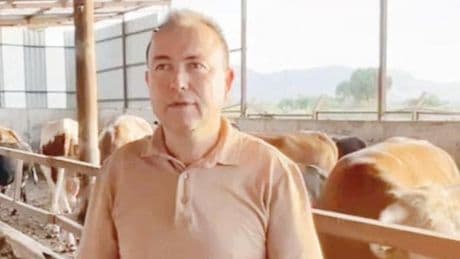 Dananın fotoğrafını çekerken öldü