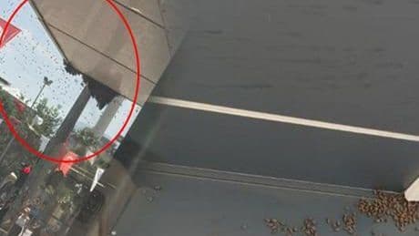 Bir anda binlercesi geldi! Bir kenti istila ettiler: Esnaf dükkanlarını kapatıp kaçtı