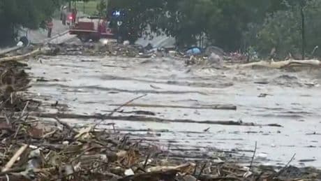 Video shows rescue of woman clinging to tree after dodging fridges, RVs in Texas flood
