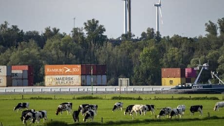 Mehr als nur Mühlen und Mythen