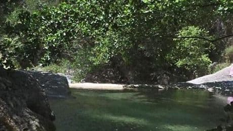 Pigna, il sindaco vieta ai cani l’accesso nell’area del rio Carne