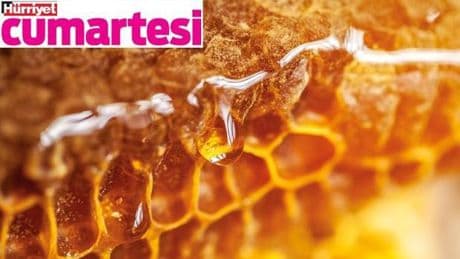 Türkiye’nin bal haritası