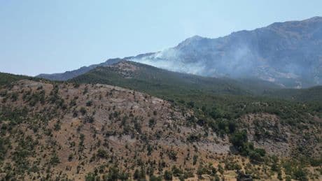 Şırnak'ta orman yangını: Kontrol altına alındı