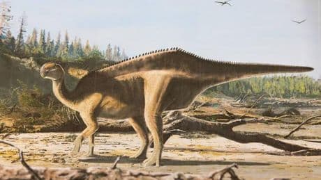 Fund auf der Isle of Wight: Dinosaurier mit Hautsegel entdeckt
