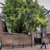 Hovenier weigert boom te snoeien bij synagoge ‘vanwege Gaza’: ‘Gaan aangifte doen van discriminatie’