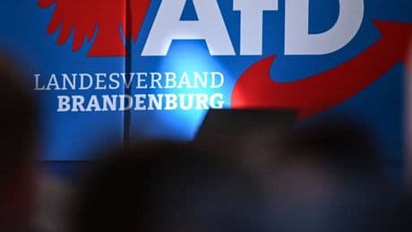 Einstufung der AfD: Brandenburger Verfassungsschutz setzt AfD-Hochstufung aus