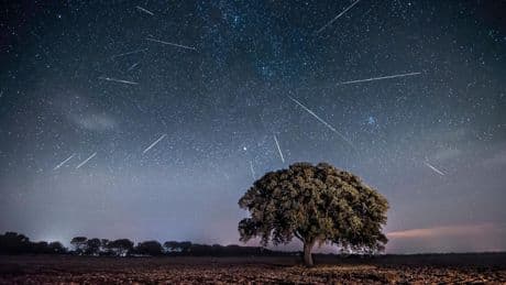 Astrohighlights im August : Die Perseiden kommen: Wie wir die Sternschnuppen am besten beobachten