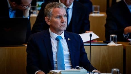 AfD nervös - Plant die Regierung ein Anti-Höcke-Gesetz?
