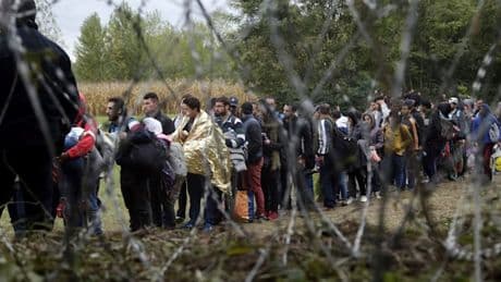 So viele Migranten streben in Deutschland die Einbürgerung an