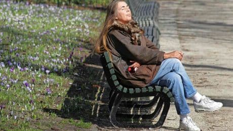 Grote temperatuursverschillen door noordenwind: het kan wel zo’n 10 graden schelen