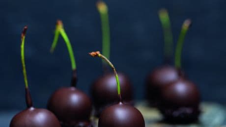 Heerlijk verwenrecept: kersenbonbons