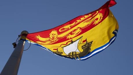 The urgent problem of intimate partner violence and how New Brunswick plans to respond
