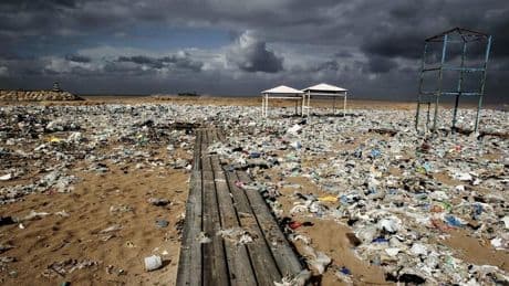 Schutz der Meere: Ozeanpakt der EU – Weniger illegales Fischen, mehr Forschung