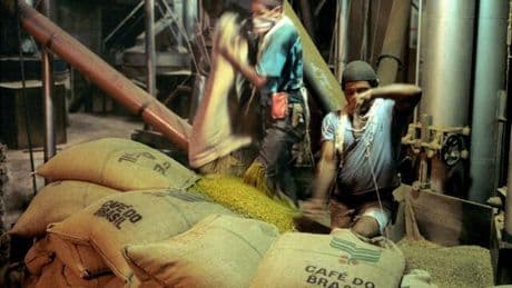 Zollstreit: Trumps Brasilien-Zölle haben Folgen für den deutschen Kaffeemarkt