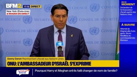 "Nous allons continuer peu importe ce que ça coûte", déclare Danny Danon, représente d'Israël aux Nations Unies