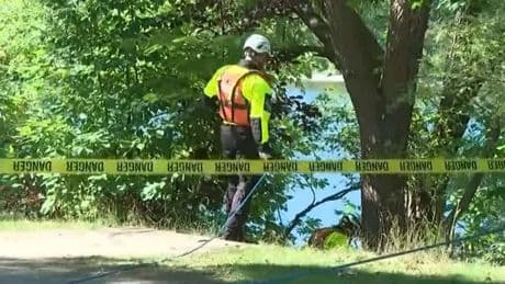 Mysterious 'severed head' found on riverbank as police issue update