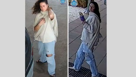 Suche in Australien: Vermisste Backpackerin nach zwölf Tagen lebend gefunden
