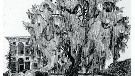 Sono interattivi i teleri di Federica Galli, la "Signora degli alberi"