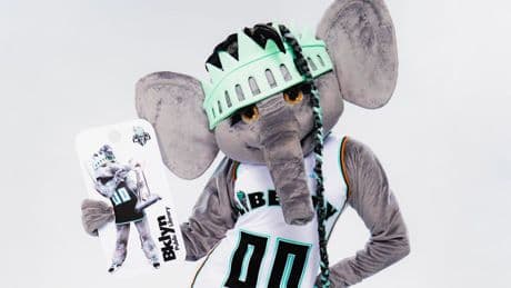 New York Liberty-Themed Brooklyn Public Library Cards Arrive This June