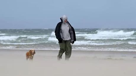 Met Office gives verdict on whether tropical Storm Dexter will reach UK