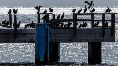 Wetteraussichten: Es wird kühler, bleibt aber sommerlich