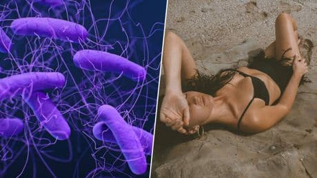 La próxima revolución en protección solar no es un filtro ni una nueva crema: es dar de "comer" a tus bacterias