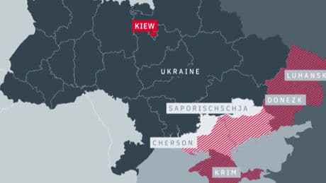 Donbass für den Frieden?: Insider: Putin machte Trump in Alaska neues Angebot