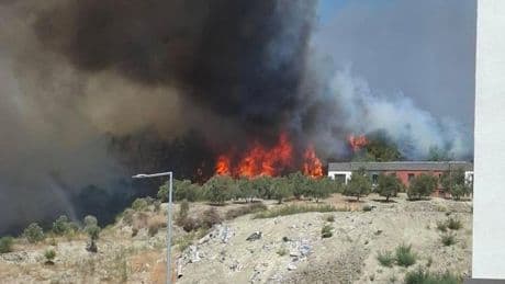 Hatay'da ormanlık alanda yangın çıktı