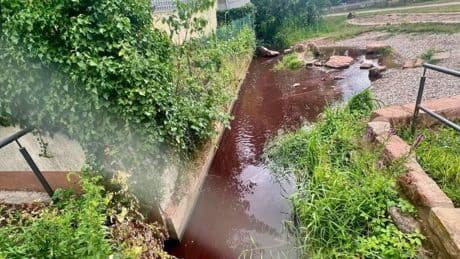 Rheinland-Pfalz: Wein aus 30.000 Liter-Fass fließt in Bach