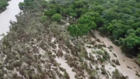 Texas floodwaters send trees crashing into river