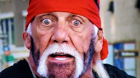 Oh, brother! Hulk Hogan raises eyebrows with dramatic new look: ‘What style would you call this?’