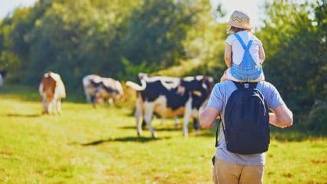 «On m’a demandé des insecticides pour tuer les cigales» : entre clichés et méconnaissance, les fantasmes des citadins sur la campagne