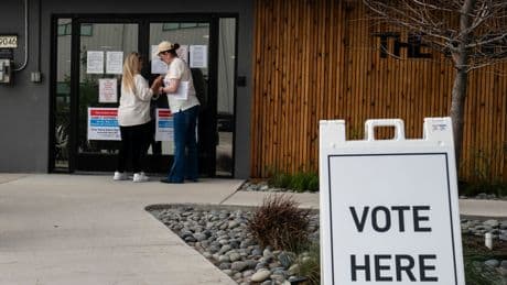 Voters Approve Incorporation of SpaceX Hub as Starbase, Texas