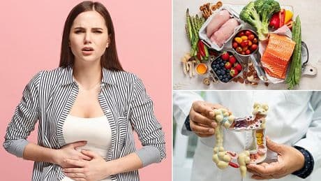 Scientists discover remarkable diet that's said to boost the gut and regulate appetite