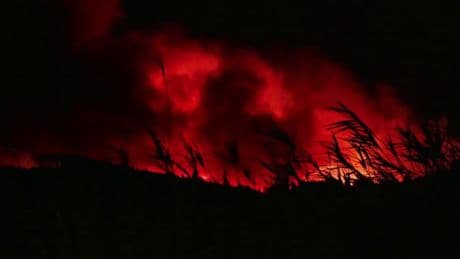 "Un volcan", "complétement démunie"... Des habitants de l'Aude "désemparés" face à l'incendie "en progression"