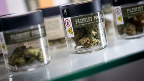 Marijuana shops sue New York after they were allowed to open too close to schools