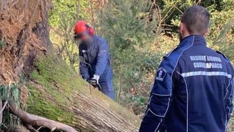 Pena da scontare? Vai a pulire i sentieri del Parco di Portofino